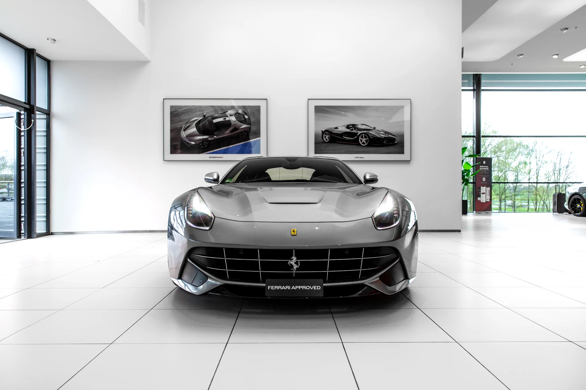Hoofdafbeelding Ferrari F12