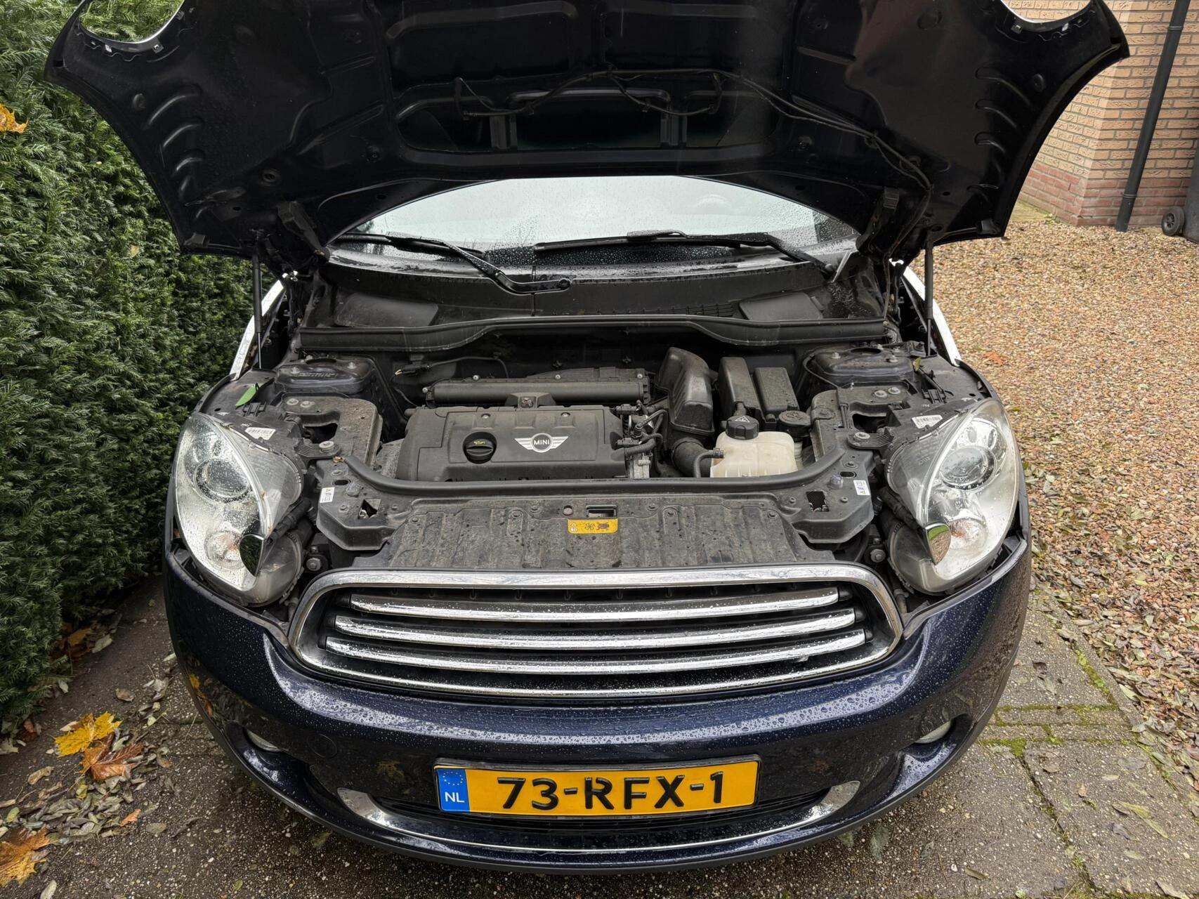 Hoofdafbeelding MINI Countryman