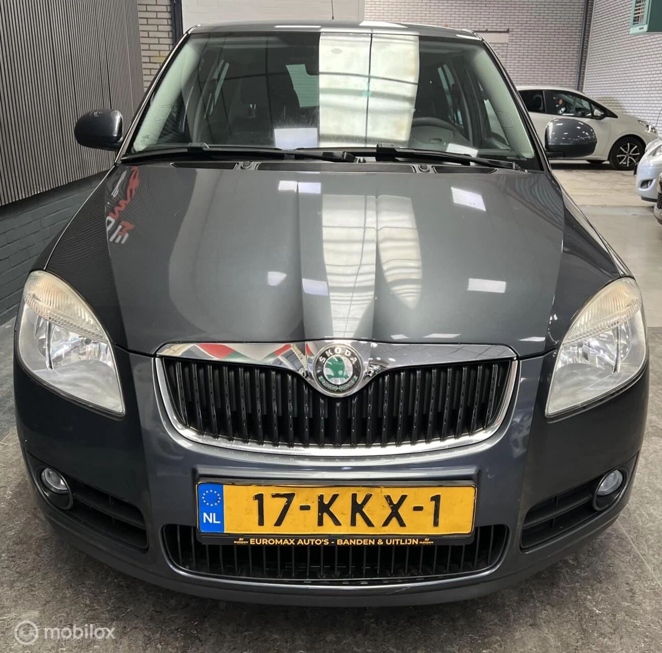 Hoofdafbeelding Škoda Fabia