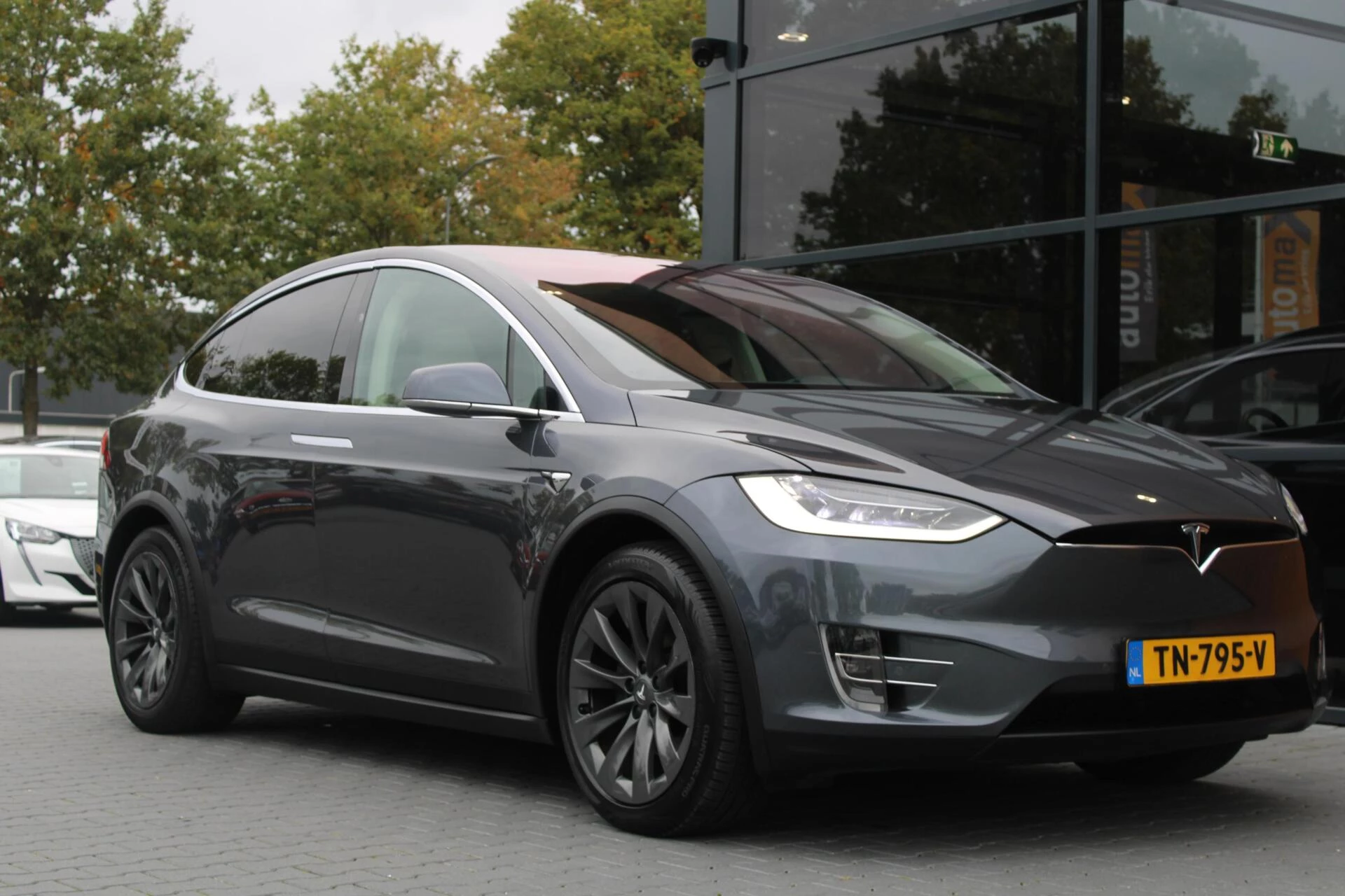Hoofdafbeelding Tesla Model X