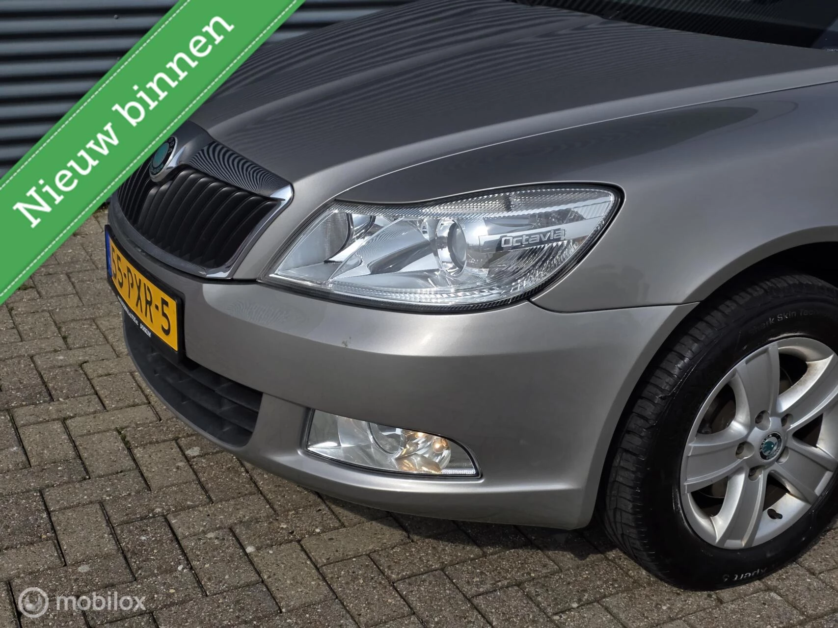 Hoofdafbeelding Škoda Octavia