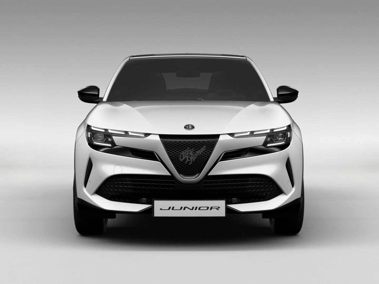 Hoofdafbeelding Alfa Romeo Junior