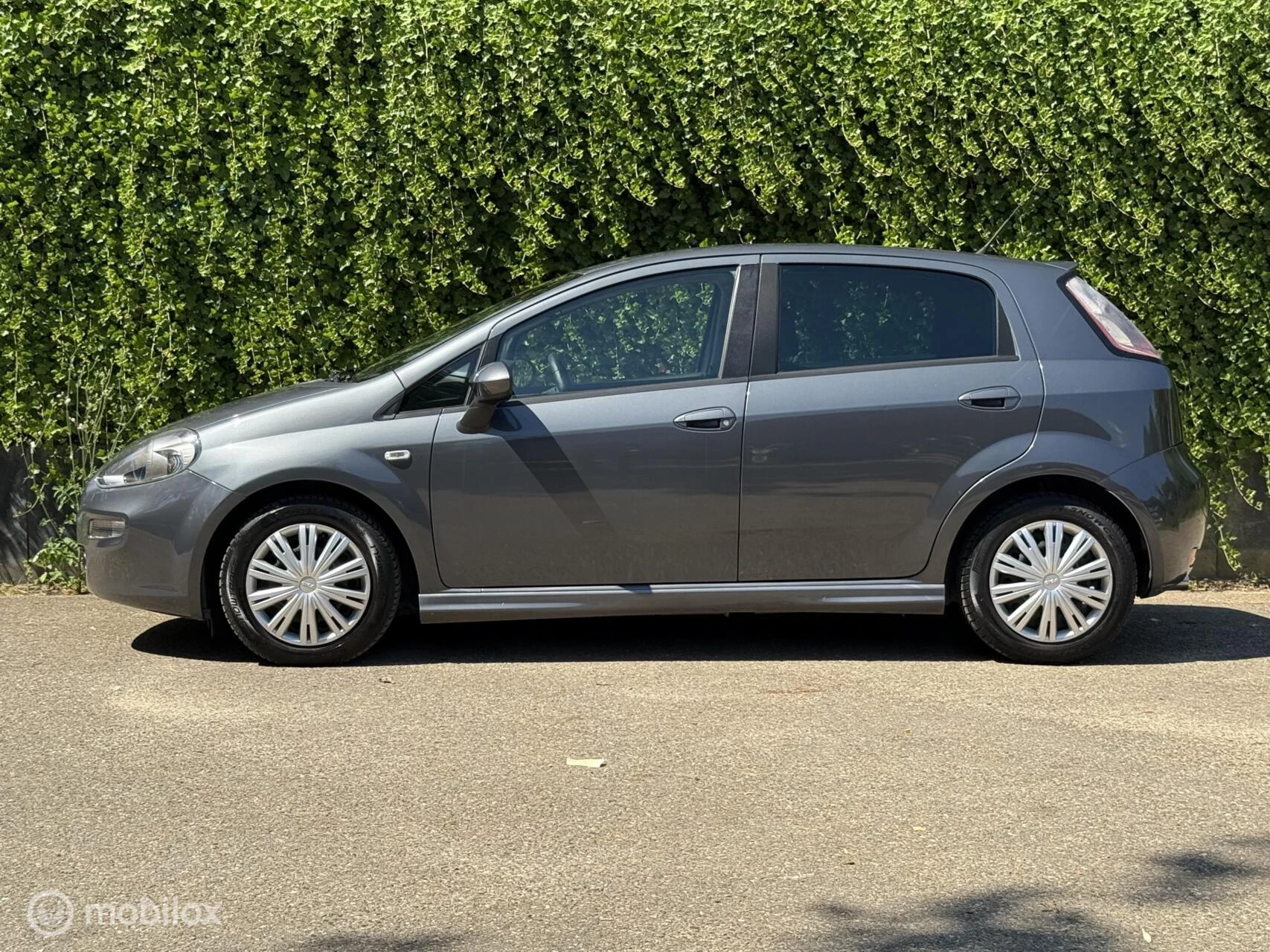 Hoofdafbeelding Fiat Punto