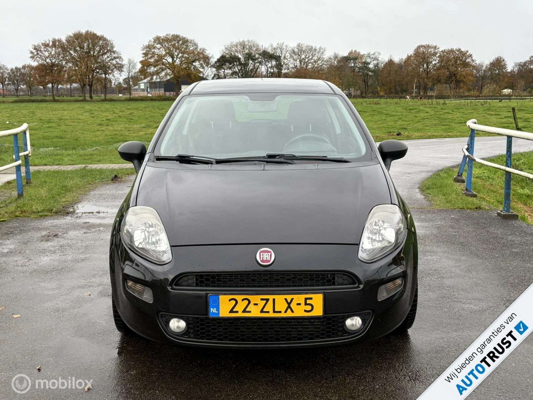 Hoofdafbeelding Fiat Punto