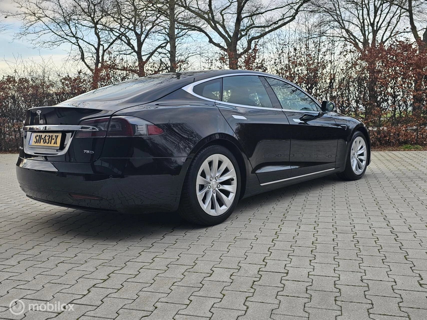 Hoofdafbeelding Tesla Model S