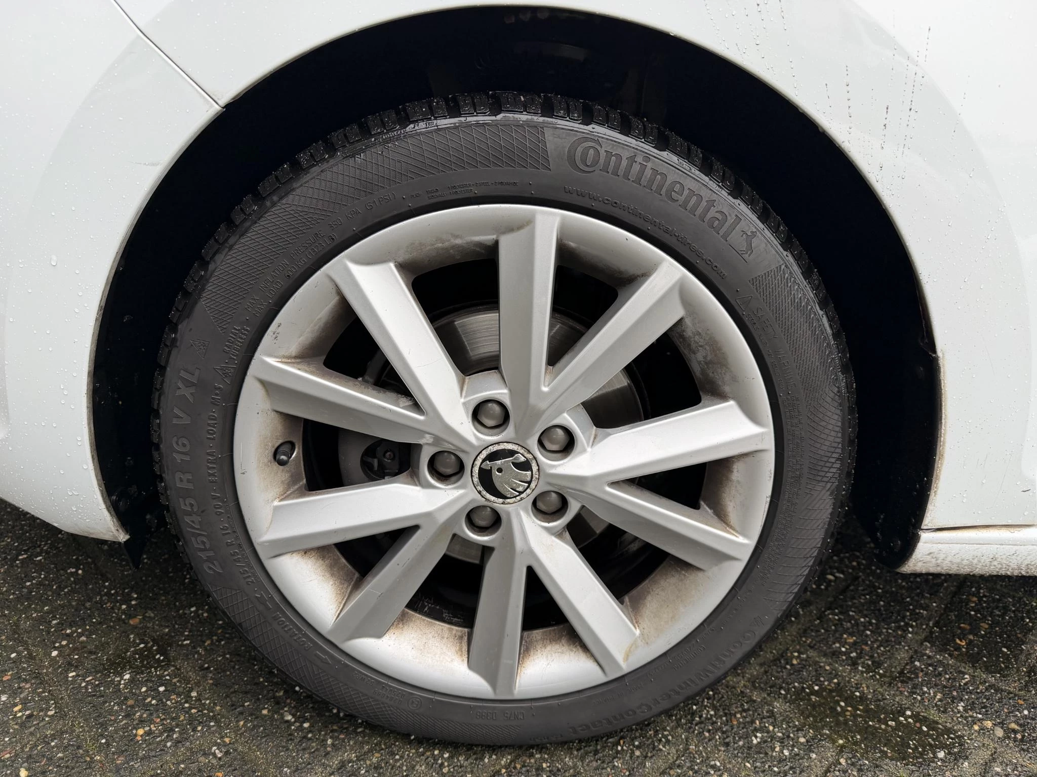 Hoofdafbeelding Škoda Rapid