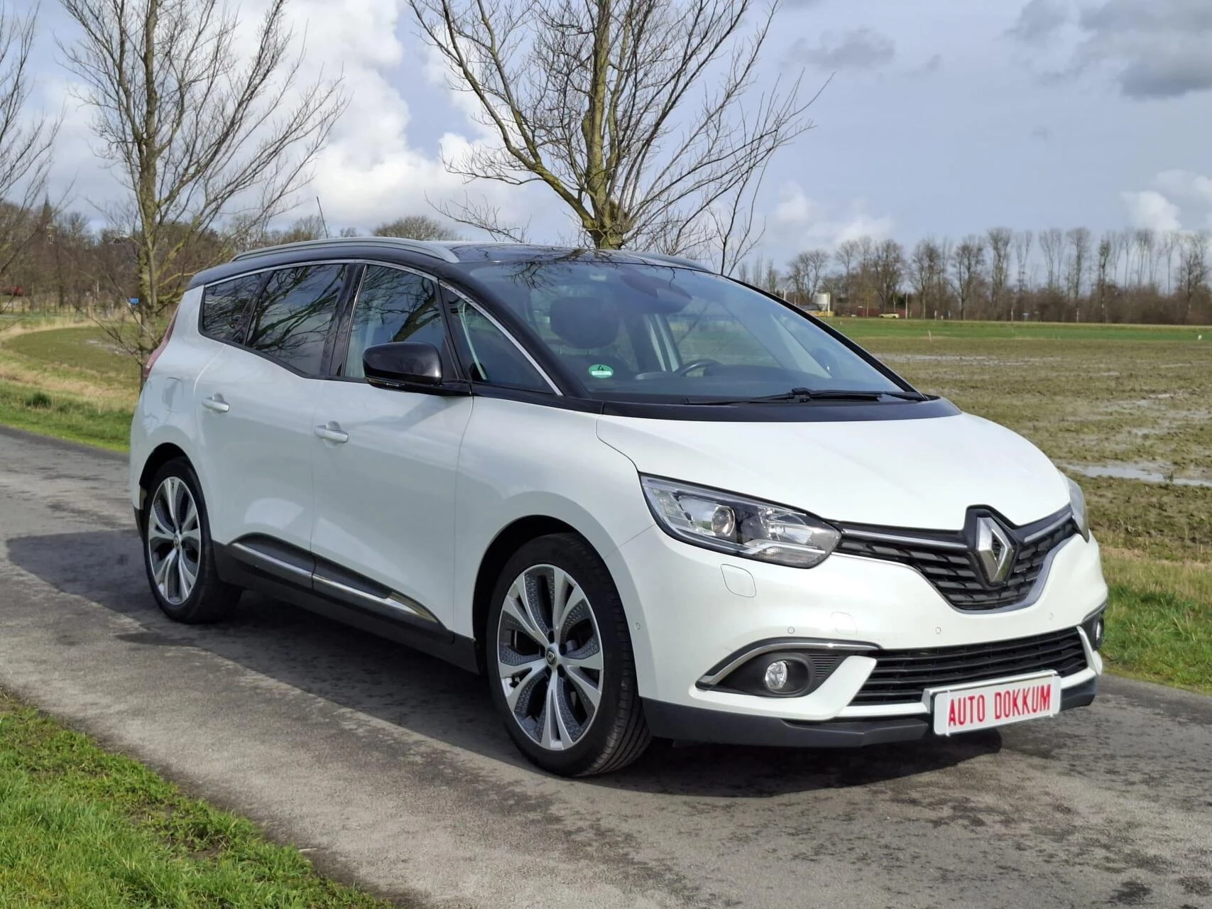 Hoofdafbeelding Renault Scénic