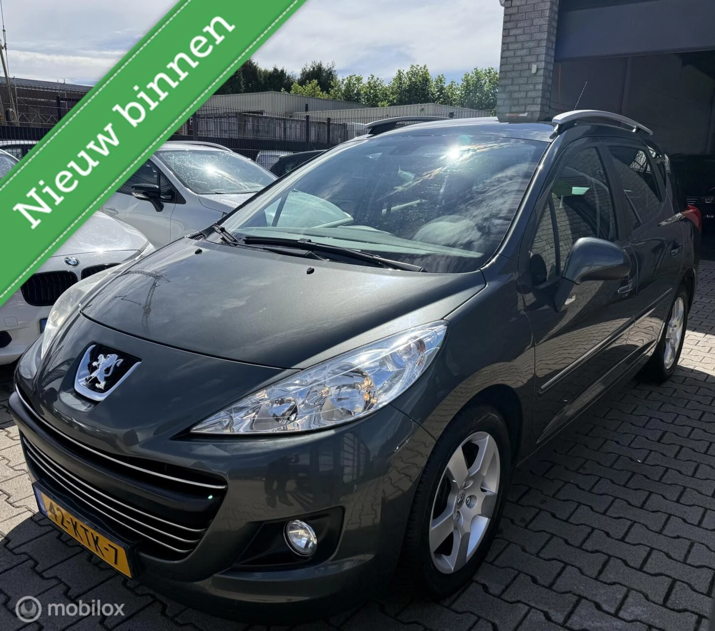 Hoofdafbeelding Peugeot 207