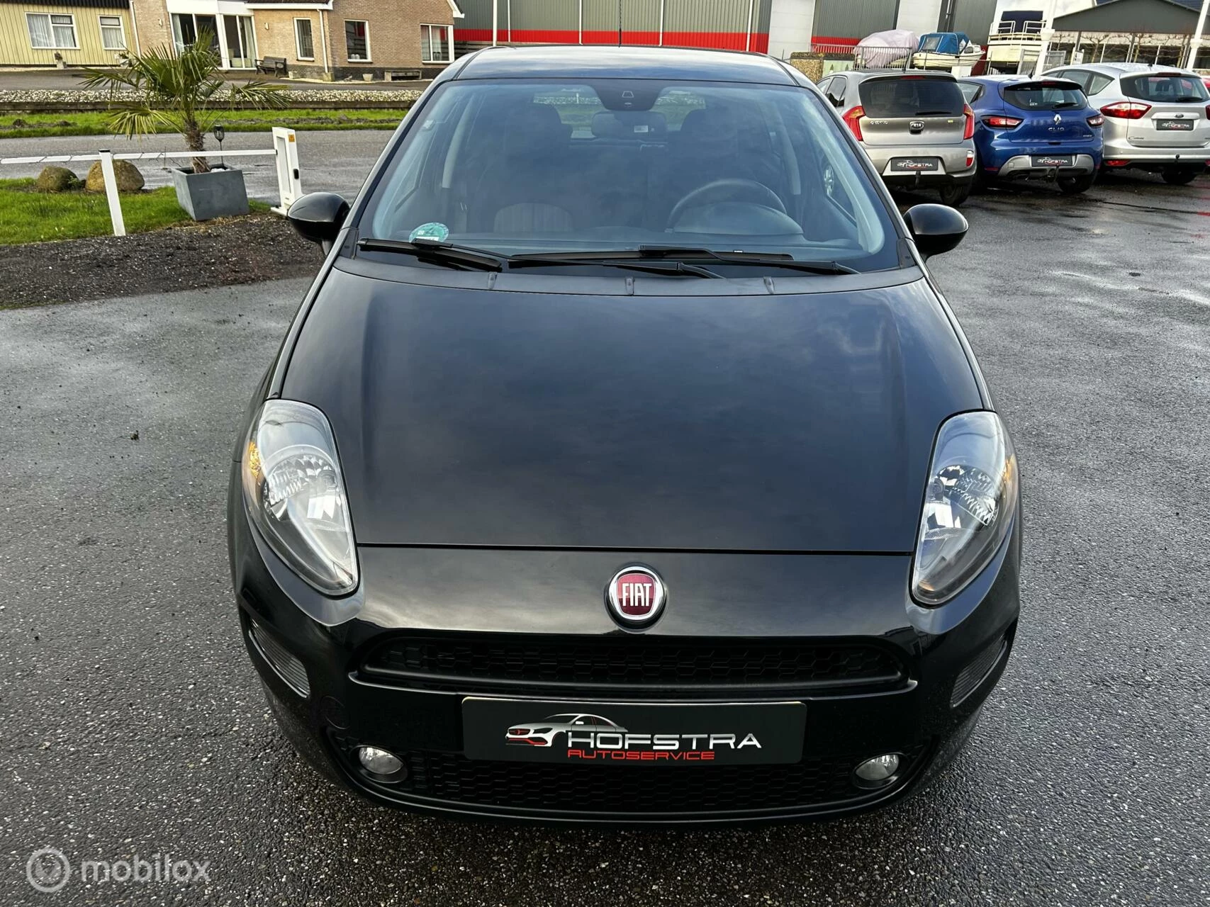 Hoofdafbeelding Fiat Punto