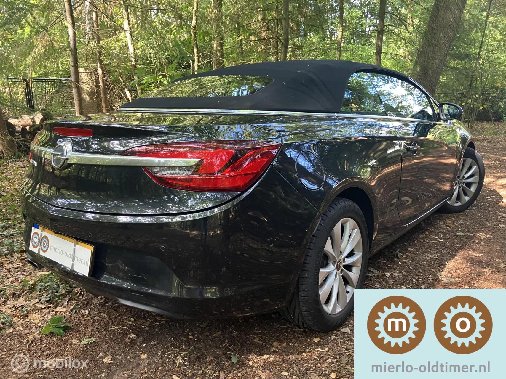 Hoofdafbeelding Opel Cascada