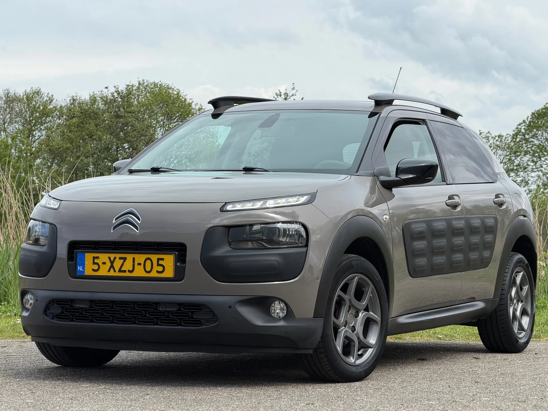 Hoofdafbeelding Citroën C4 Cactus