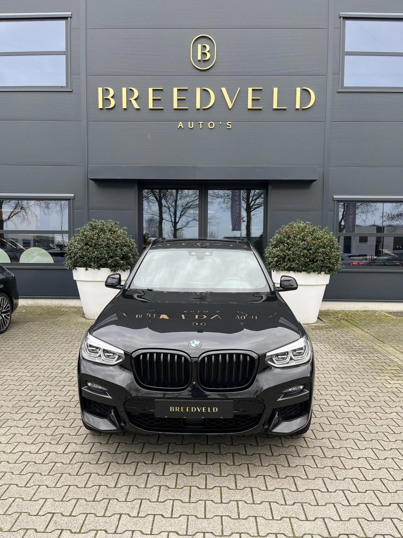 Hoofdafbeelding BMW X3