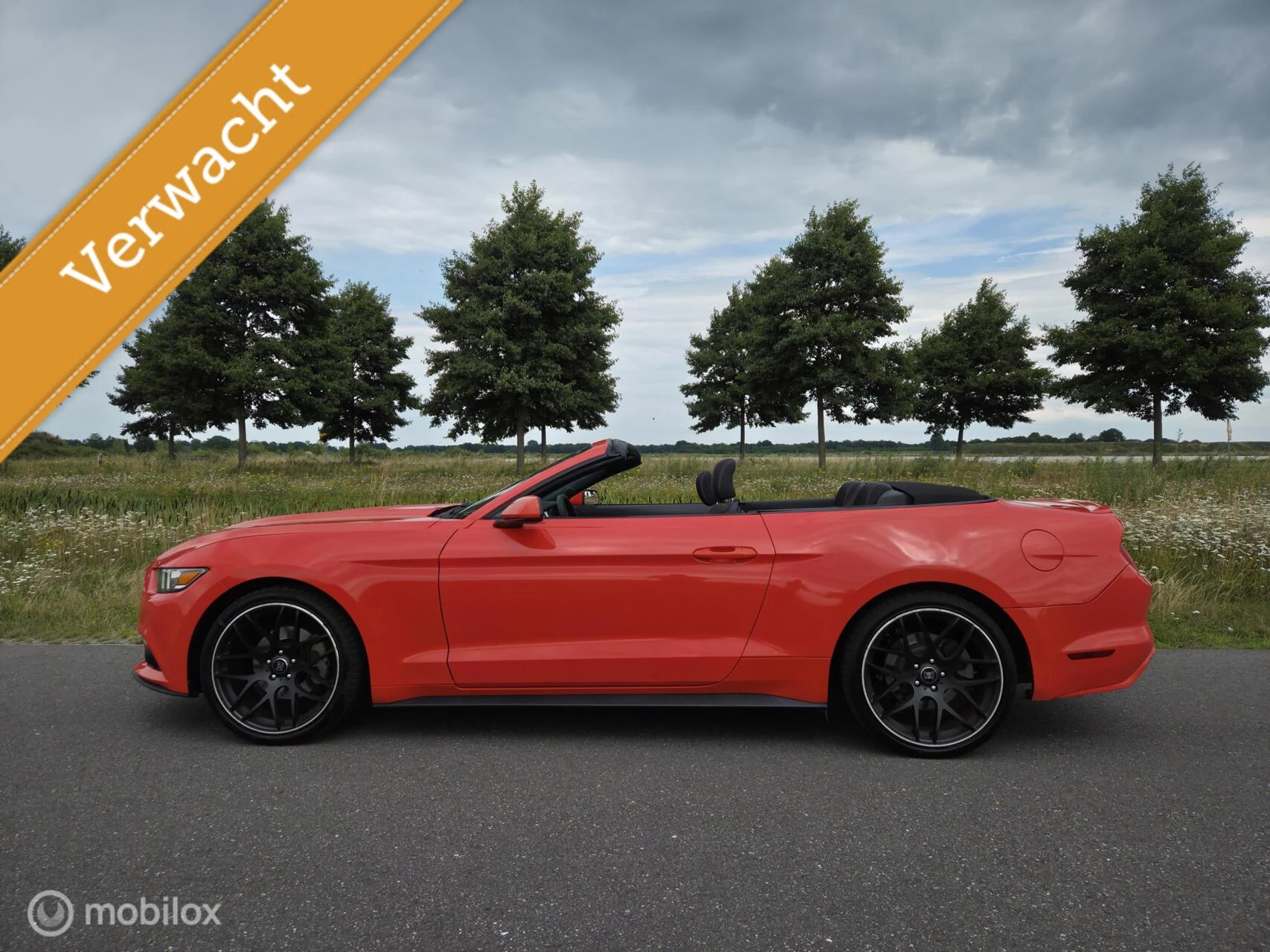 Hoofdafbeelding Ford Mustang