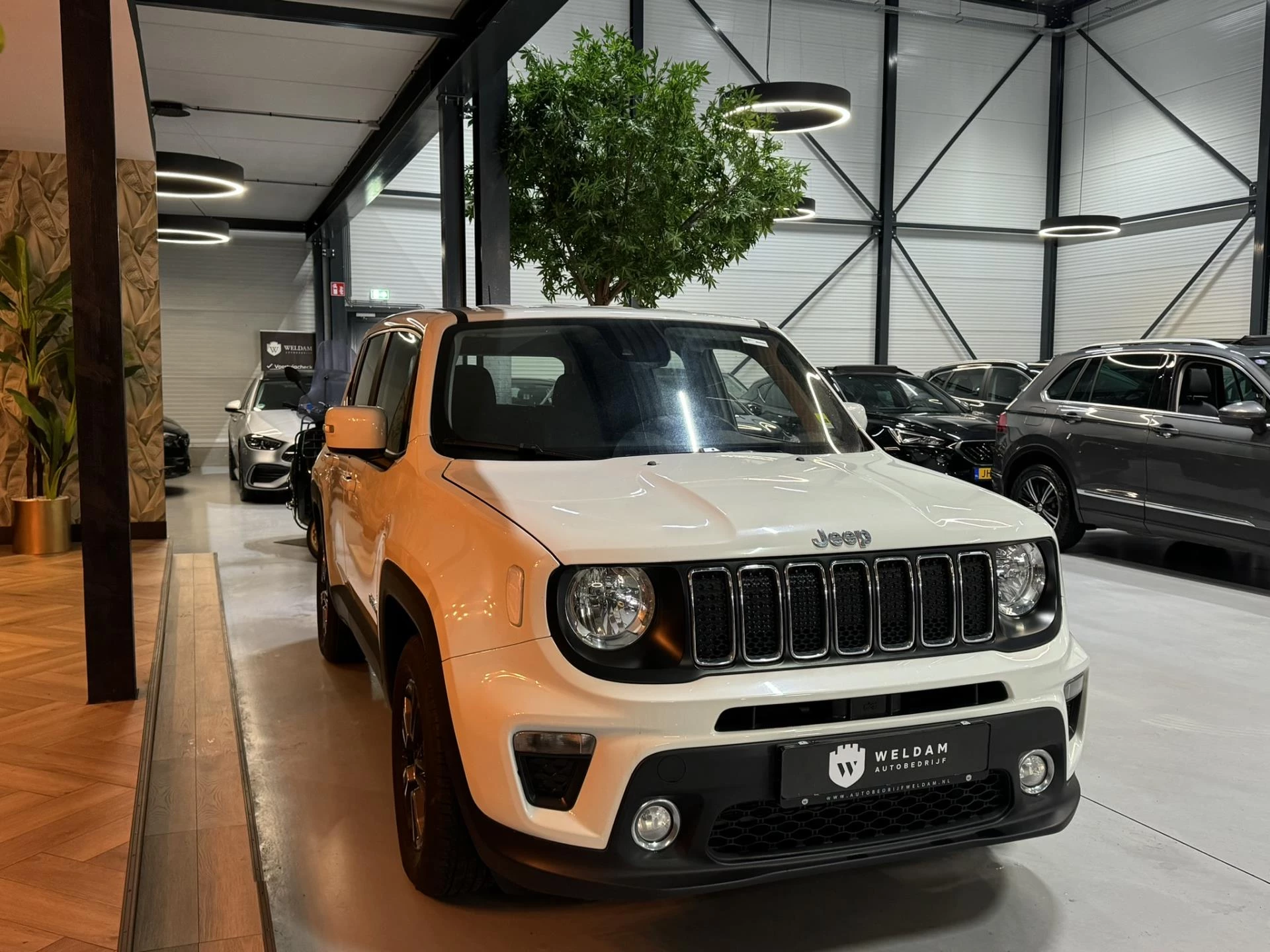 Hoofdafbeelding Jeep Renegade