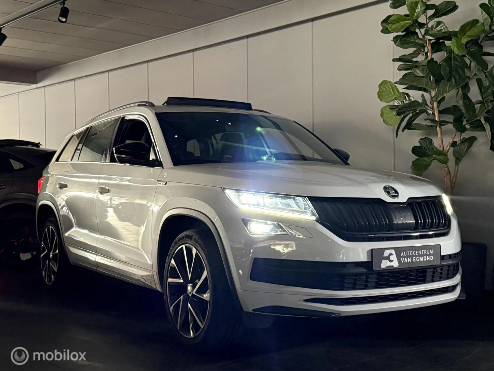 Hoofdafbeelding Škoda Kodiaq
