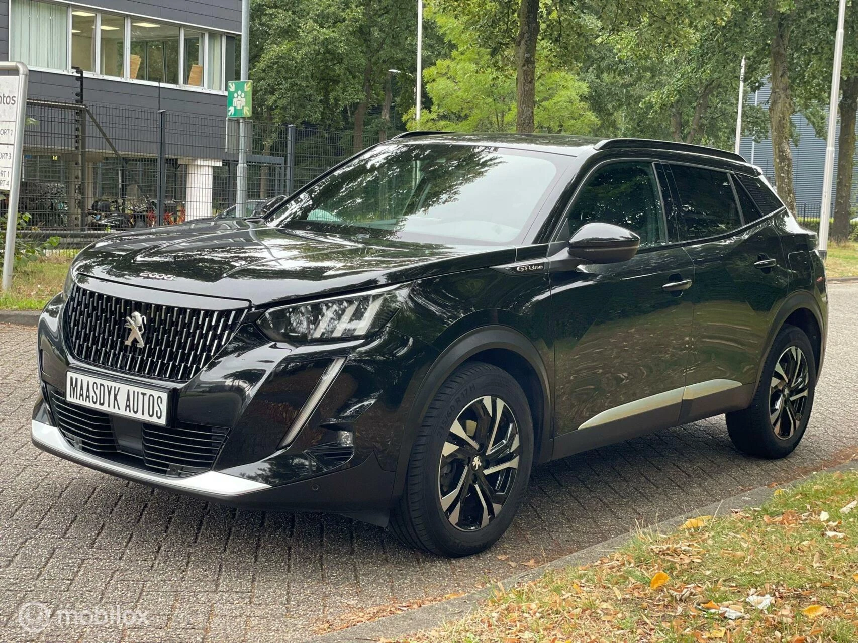 Hoofdafbeelding Peugeot 2008