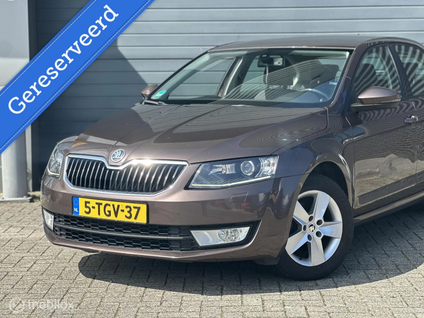 Hoofdafbeelding Škoda Octavia