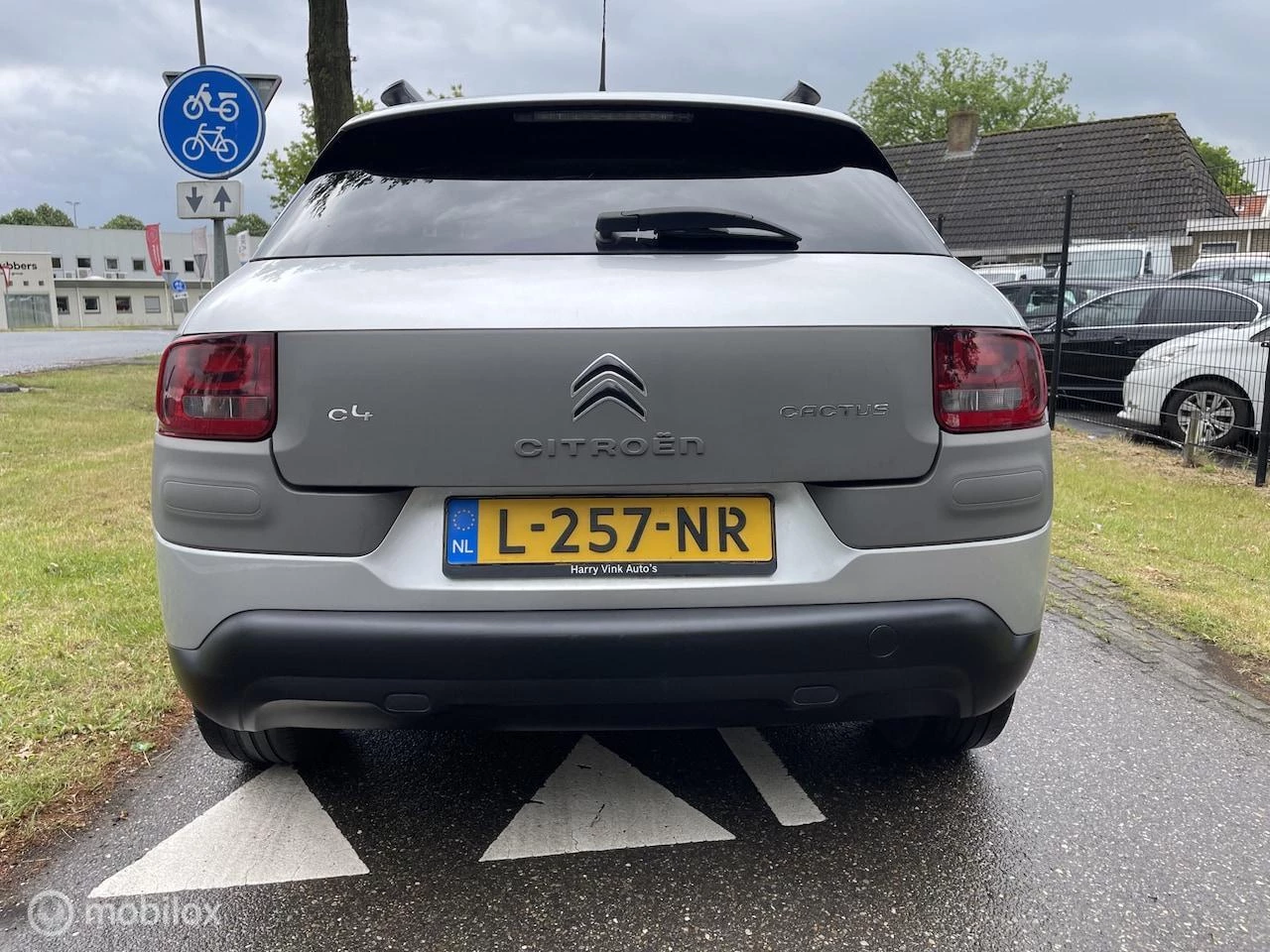 Hoofdafbeelding Citroën C4 Cactus