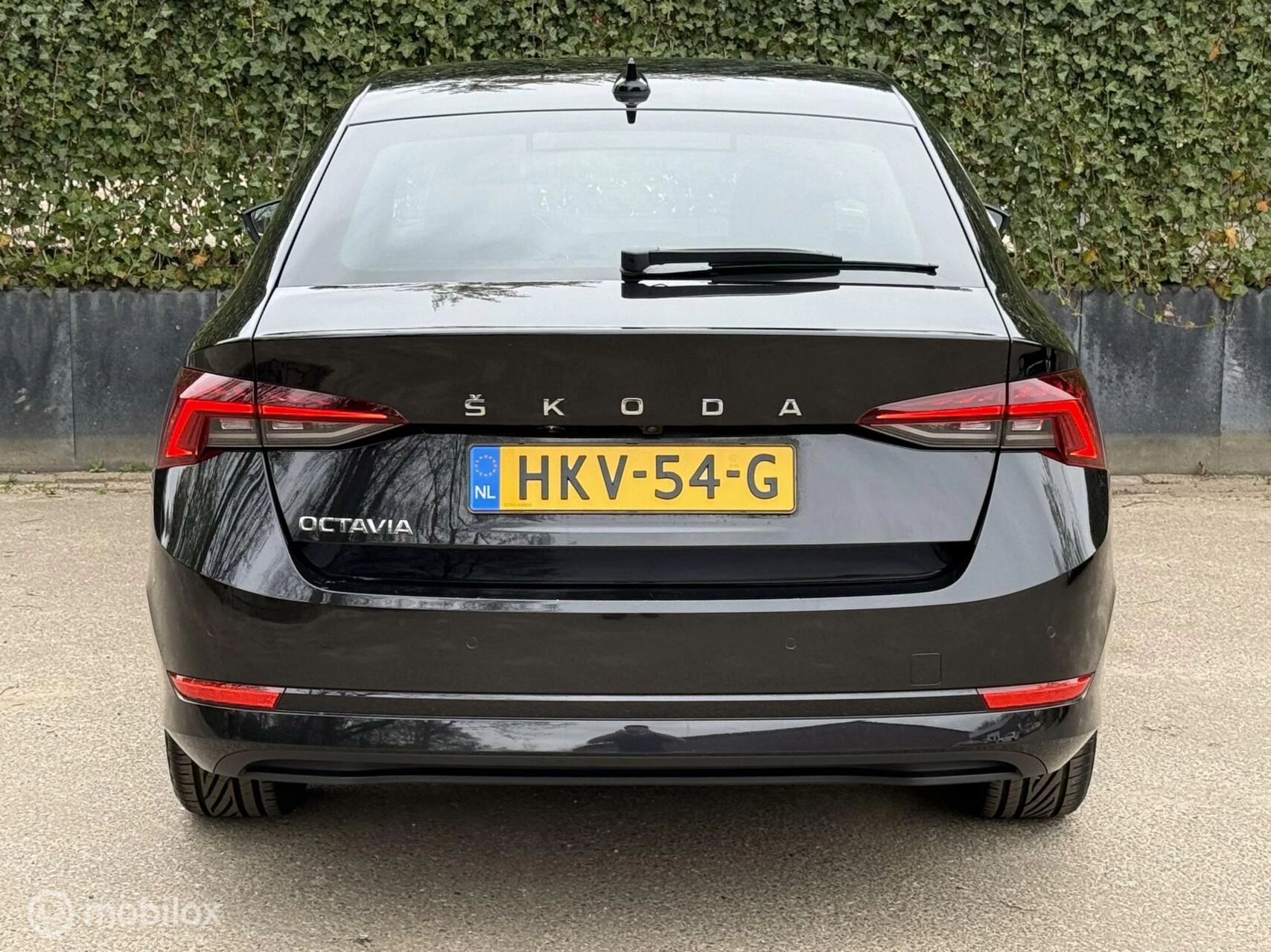 Hoofdafbeelding Škoda Octavia