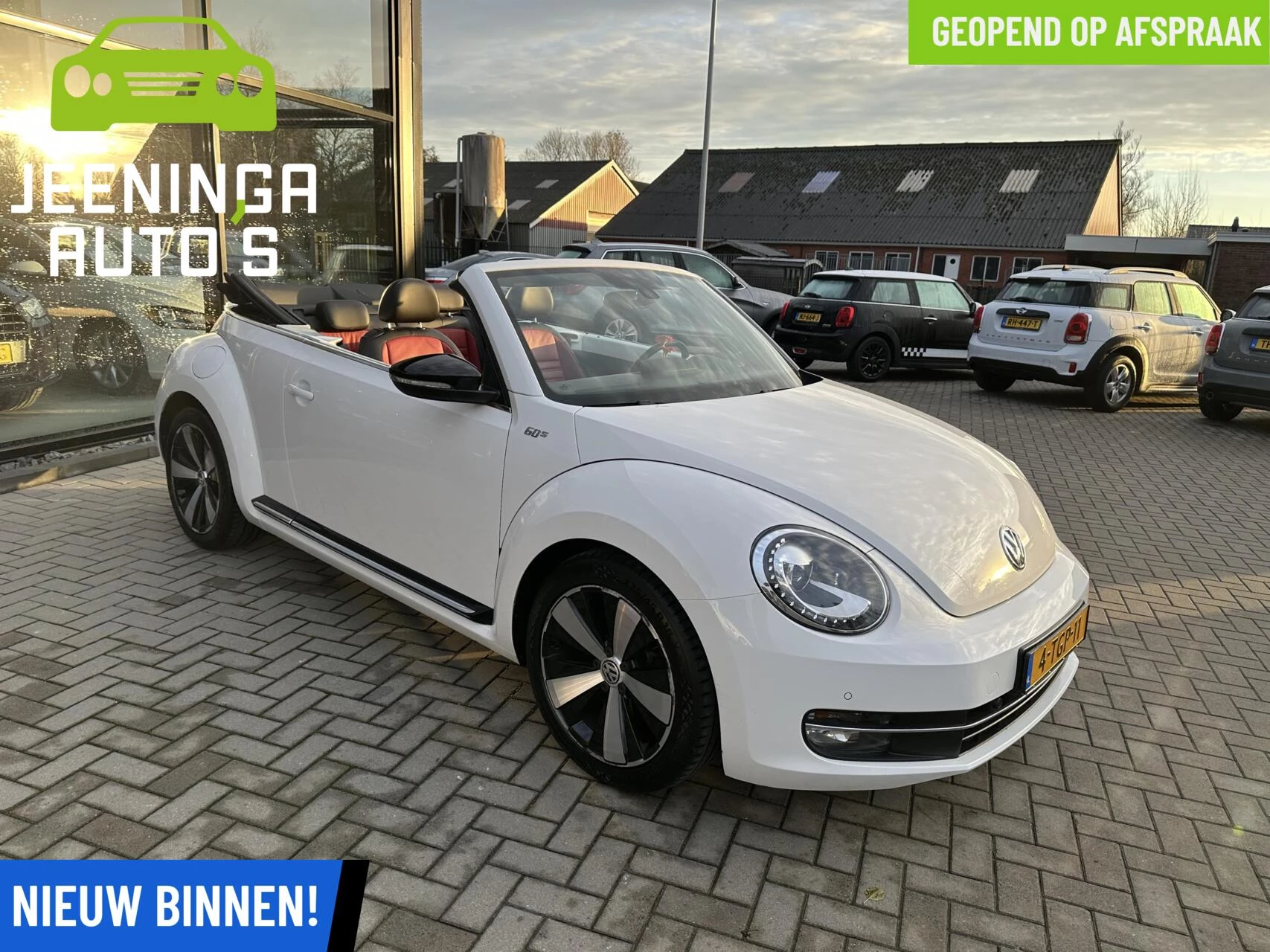 Hoofdafbeelding Volkswagen Beetle