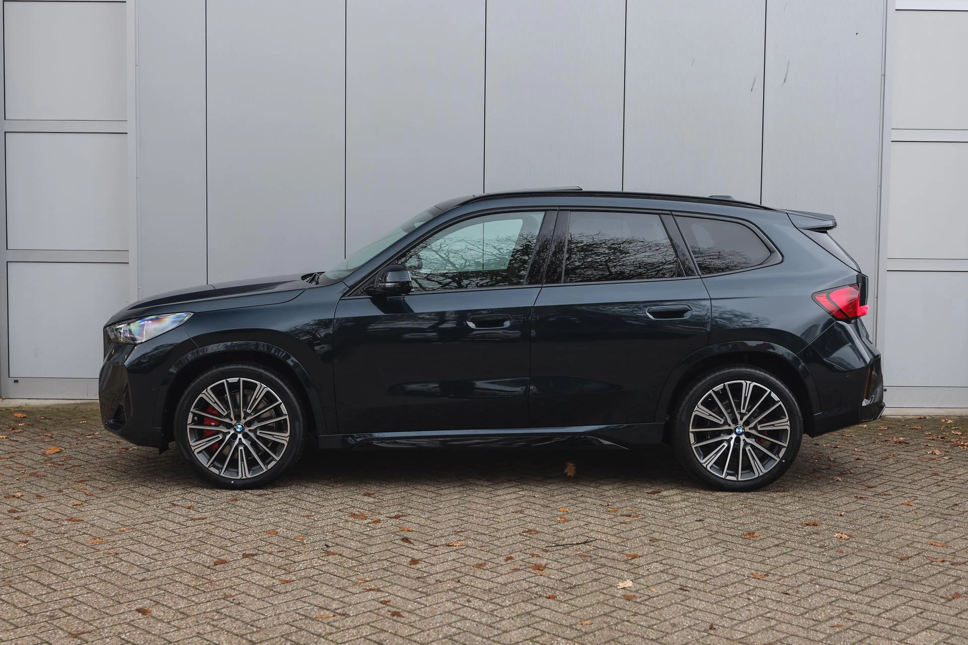 Hoofdafbeelding BMW iX1