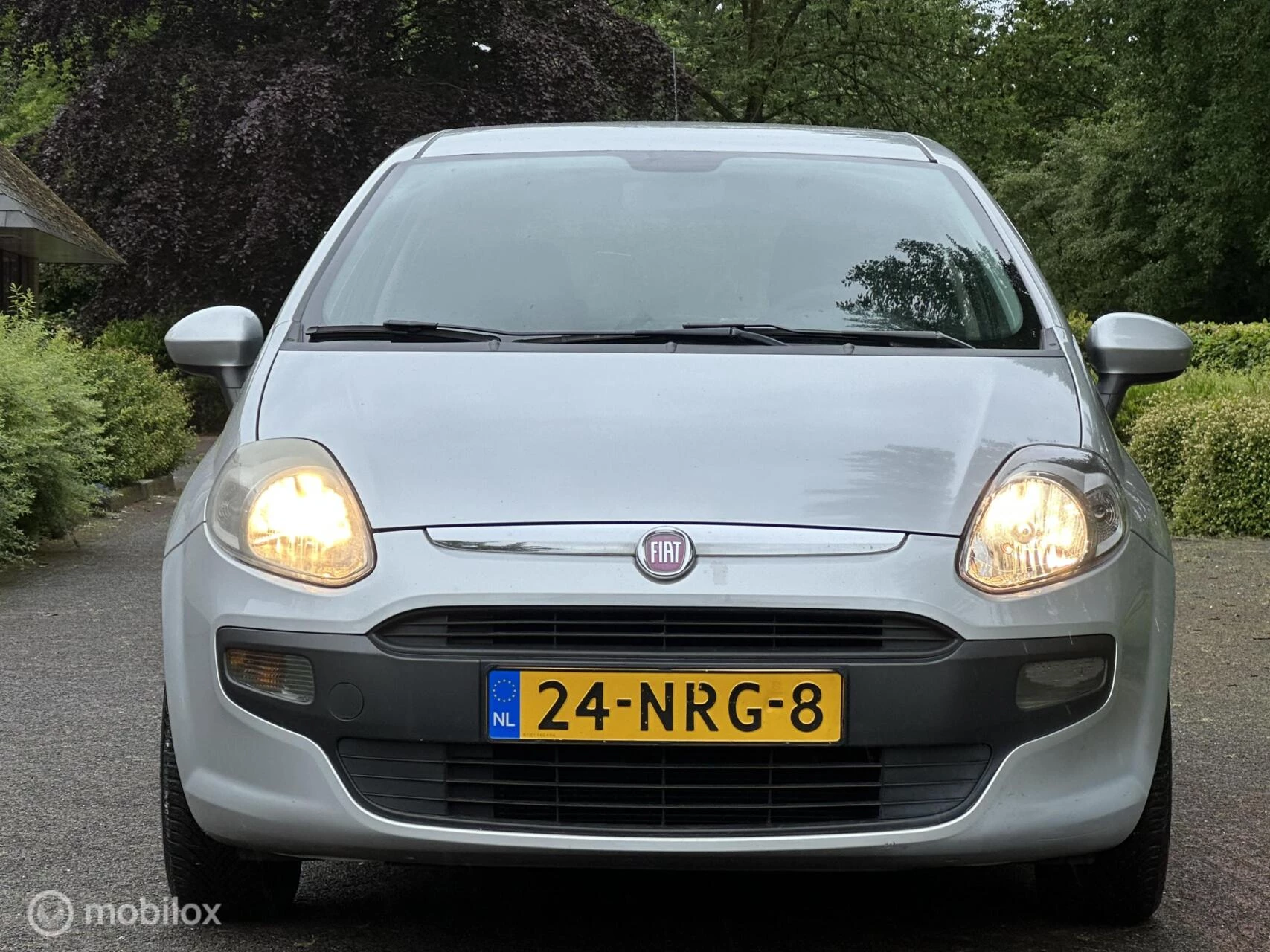 Hoofdafbeelding Fiat Punto