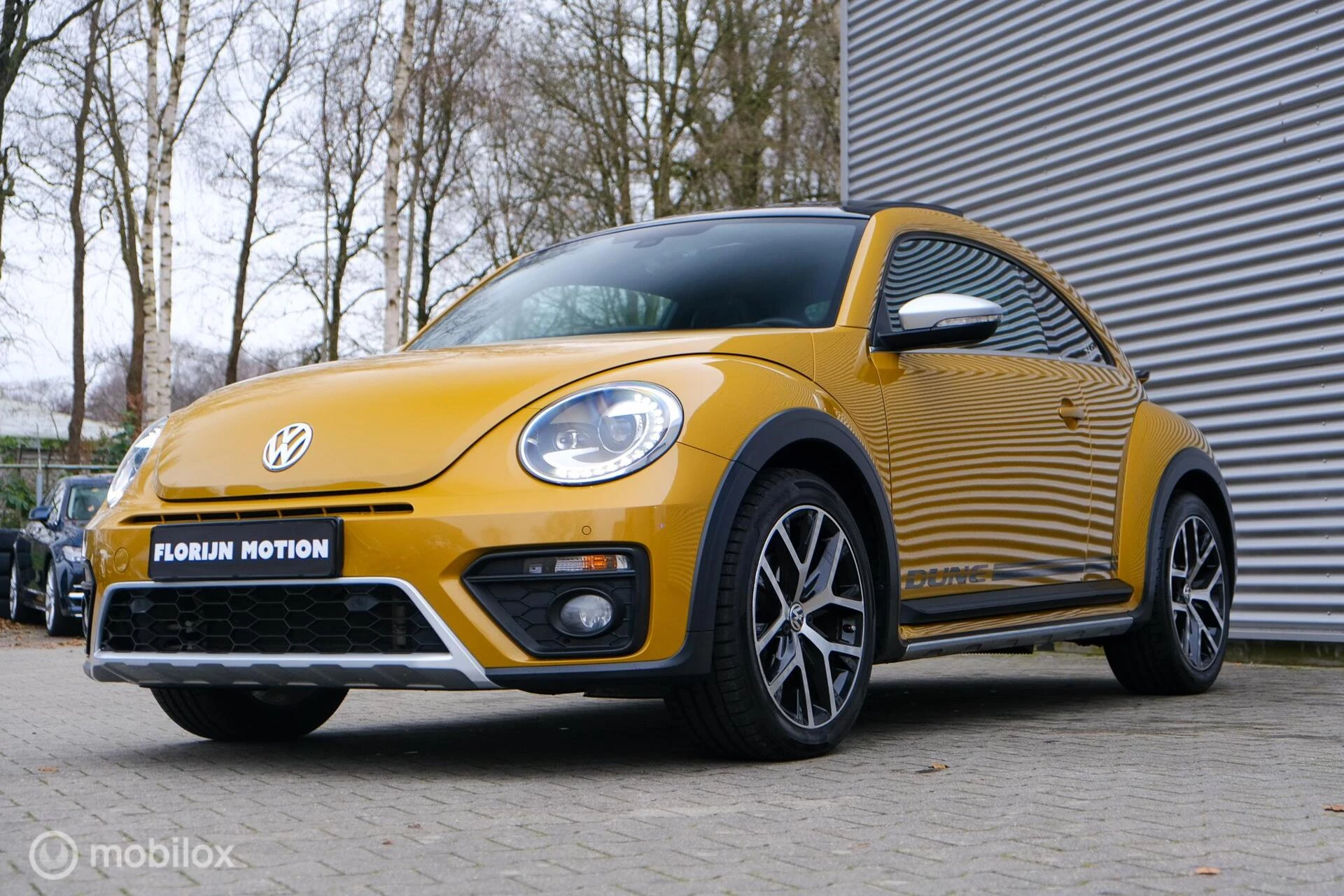 Hoofdafbeelding Volkswagen Beetle