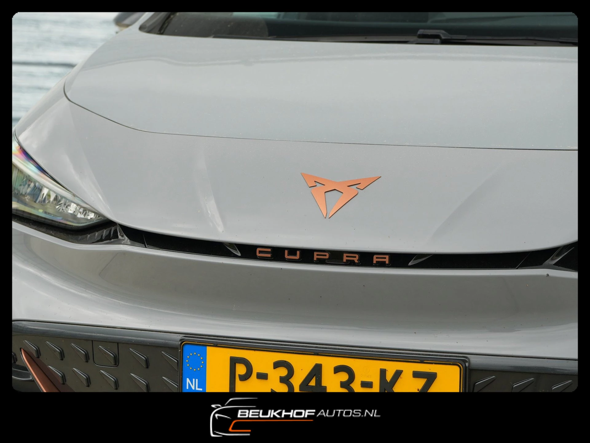 Hoofdafbeelding CUPRA Born
