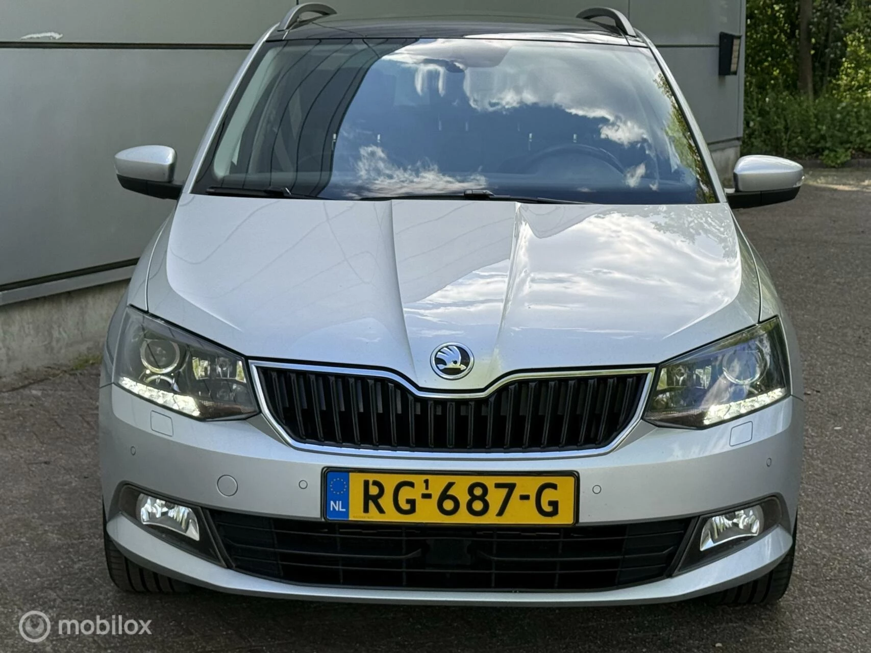 Hoofdafbeelding Škoda Fabia