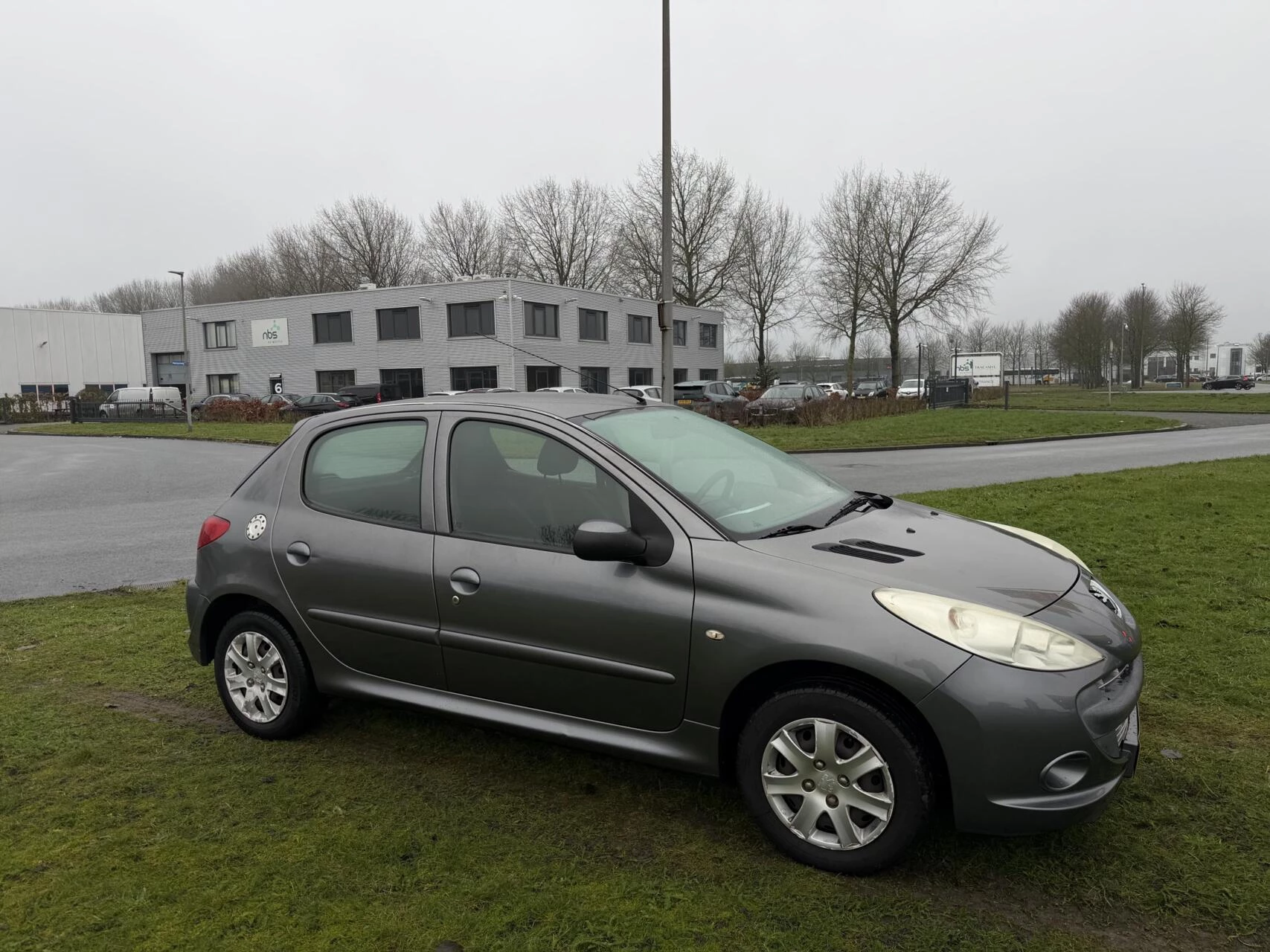 Hoofdafbeelding Peugeot 206