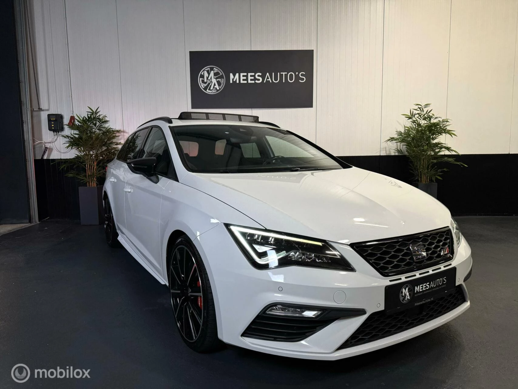 Hoofdafbeelding SEAT Leon