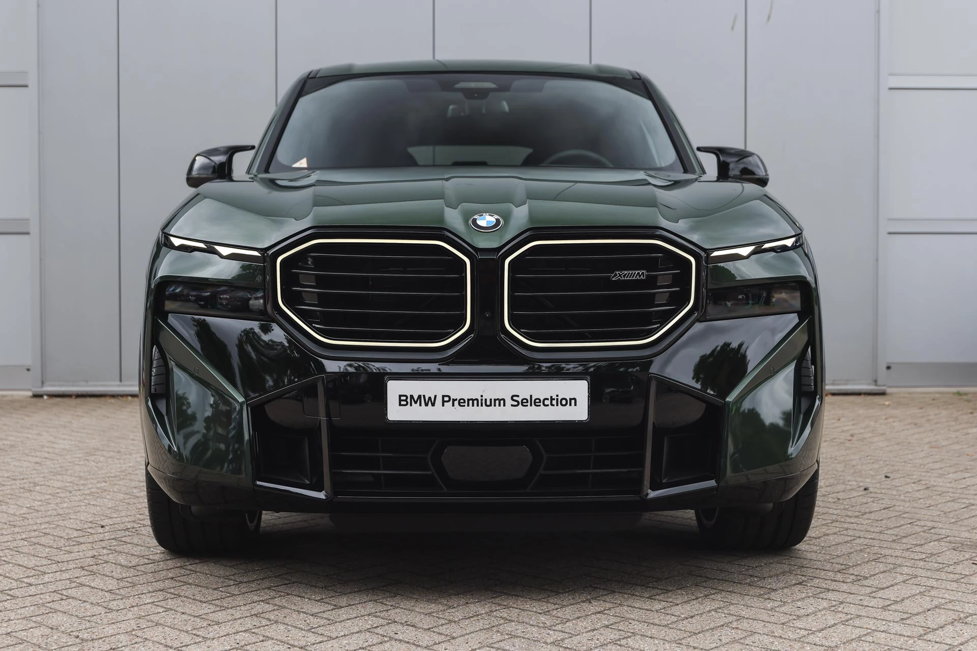 Hoofdafbeelding BMW XM