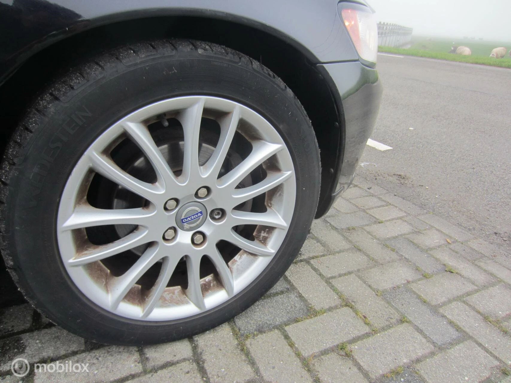 Hoofdafbeelding Volvo V50