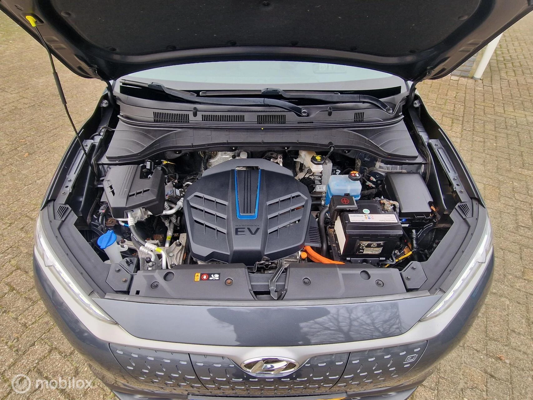 Hoofdafbeelding Hyundai Kona