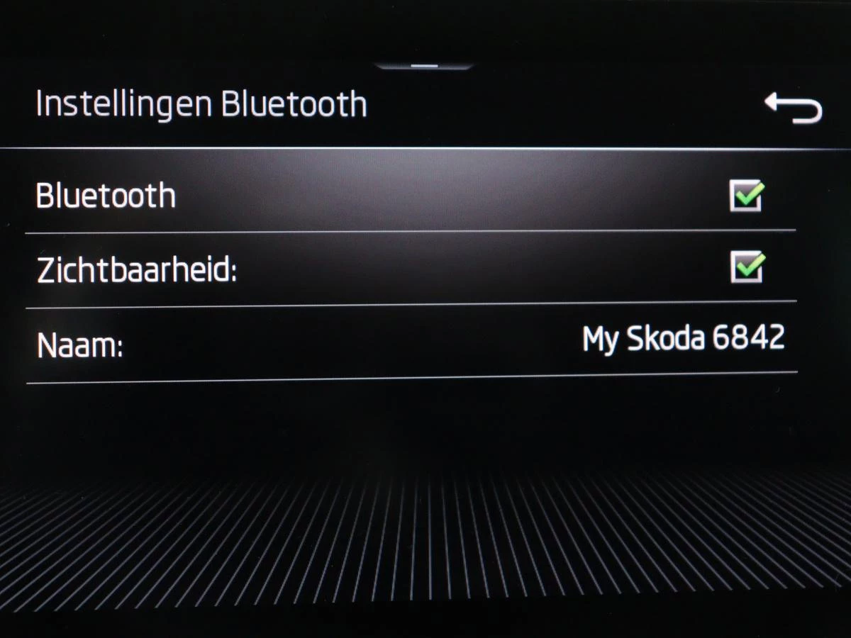 Hoofdafbeelding Škoda Kamiq