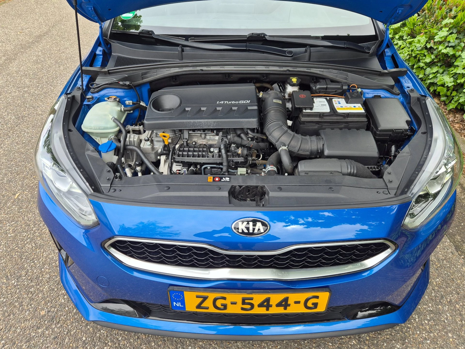 Hoofdafbeelding Kia ProCeed