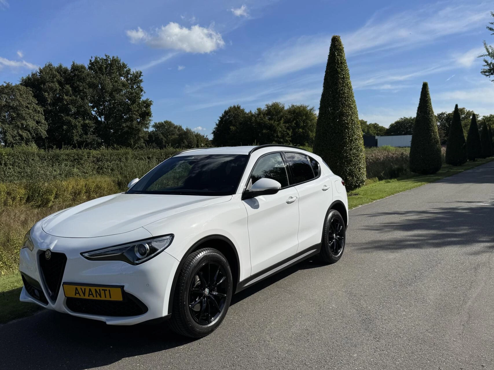 Hoofdafbeelding Alfa Romeo Stelvio