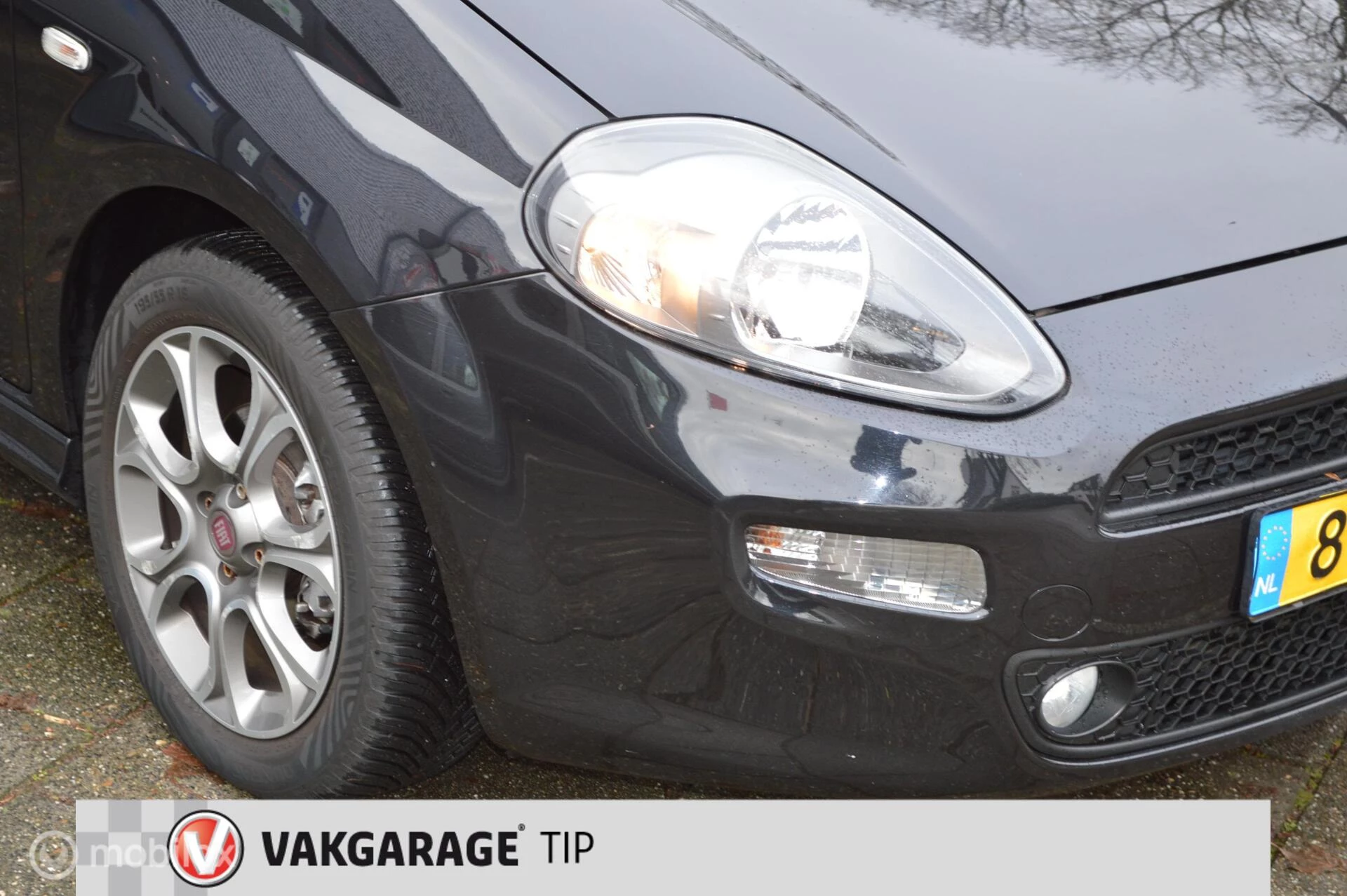 Hoofdafbeelding Fiat Punto