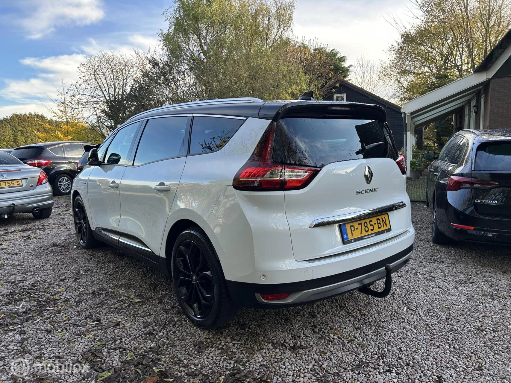 Hoofdafbeelding Renault Grand Scénic