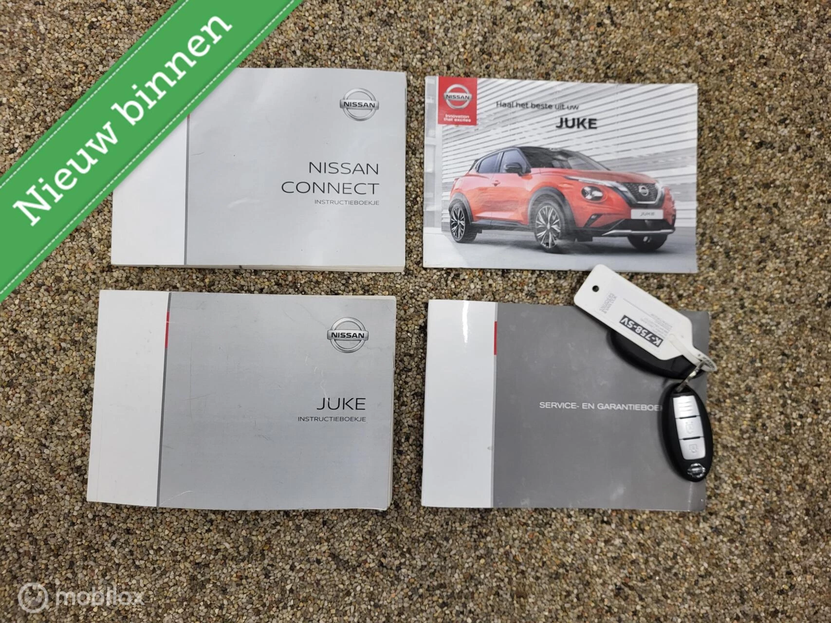 Hoofdafbeelding Nissan Juke