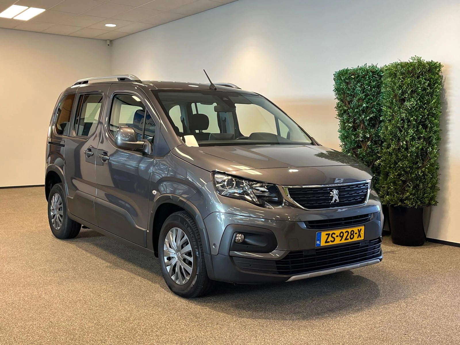 Hoofdafbeelding Peugeot Rifter