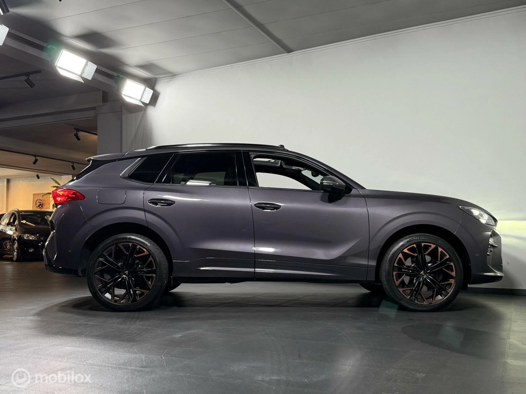 Hoofdafbeelding CUPRA Terramar