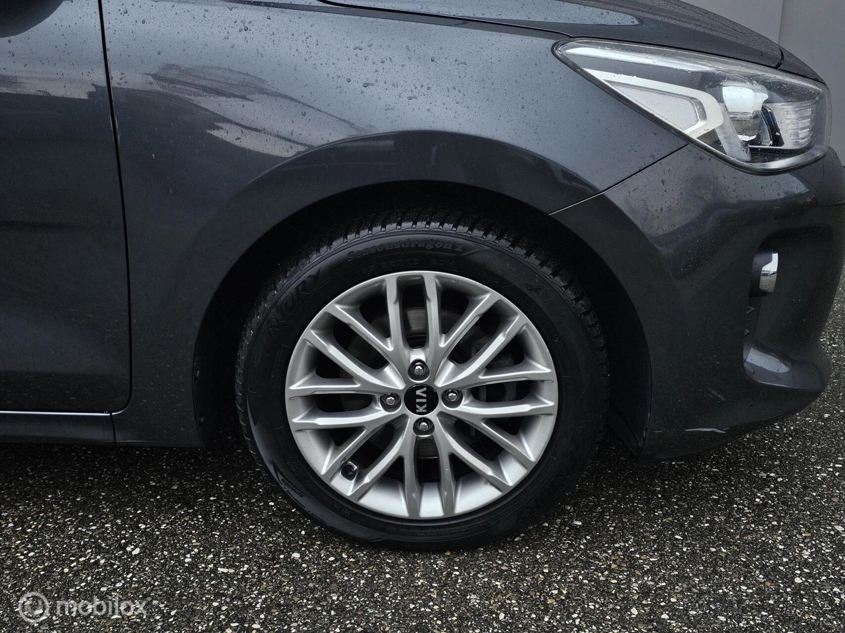 Hoofdafbeelding Kia Rio