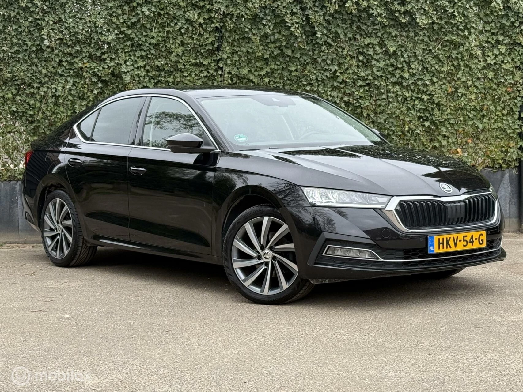 Hoofdafbeelding Škoda Octavia
