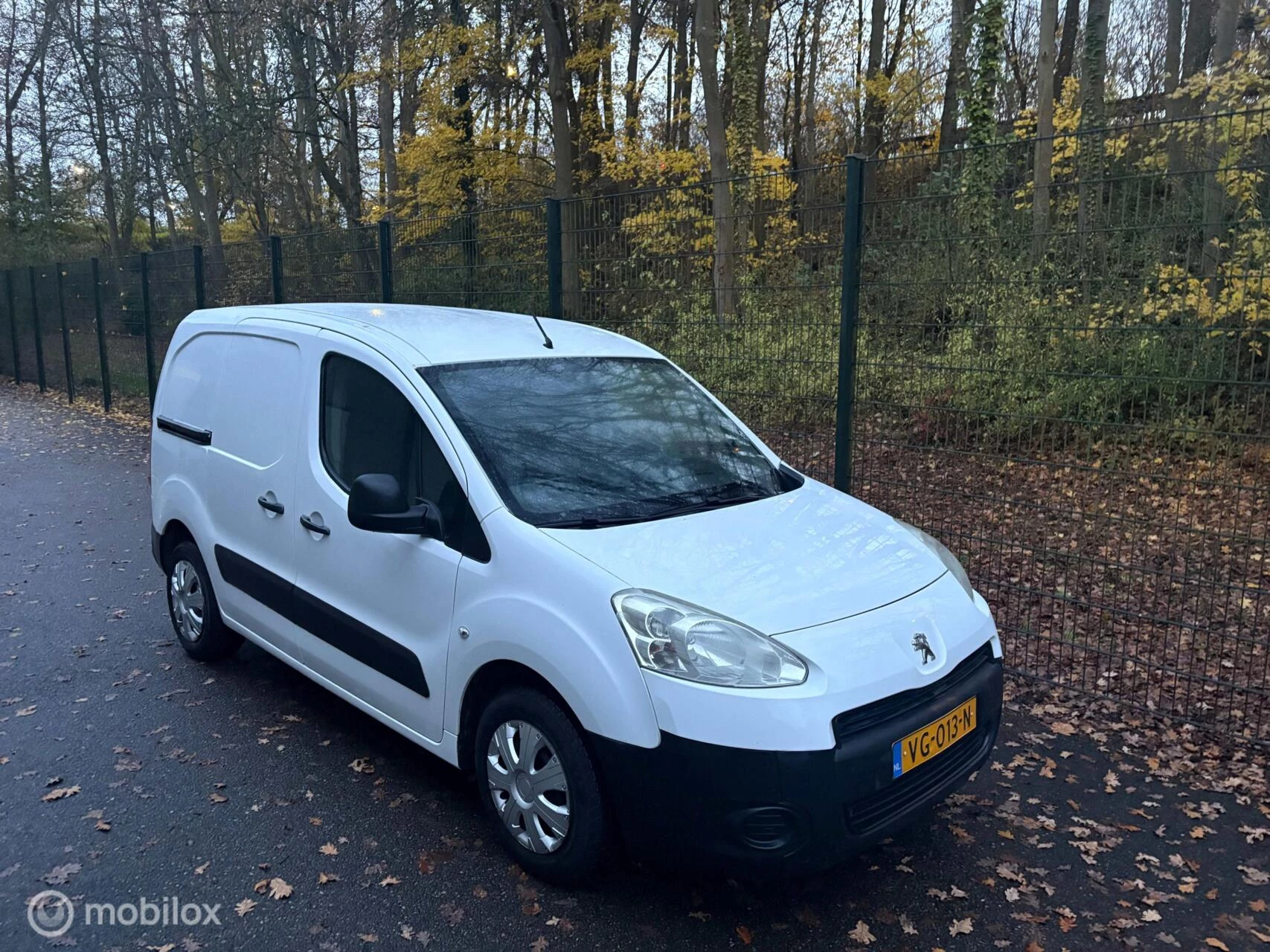 Hoofdafbeelding Peugeot Partner