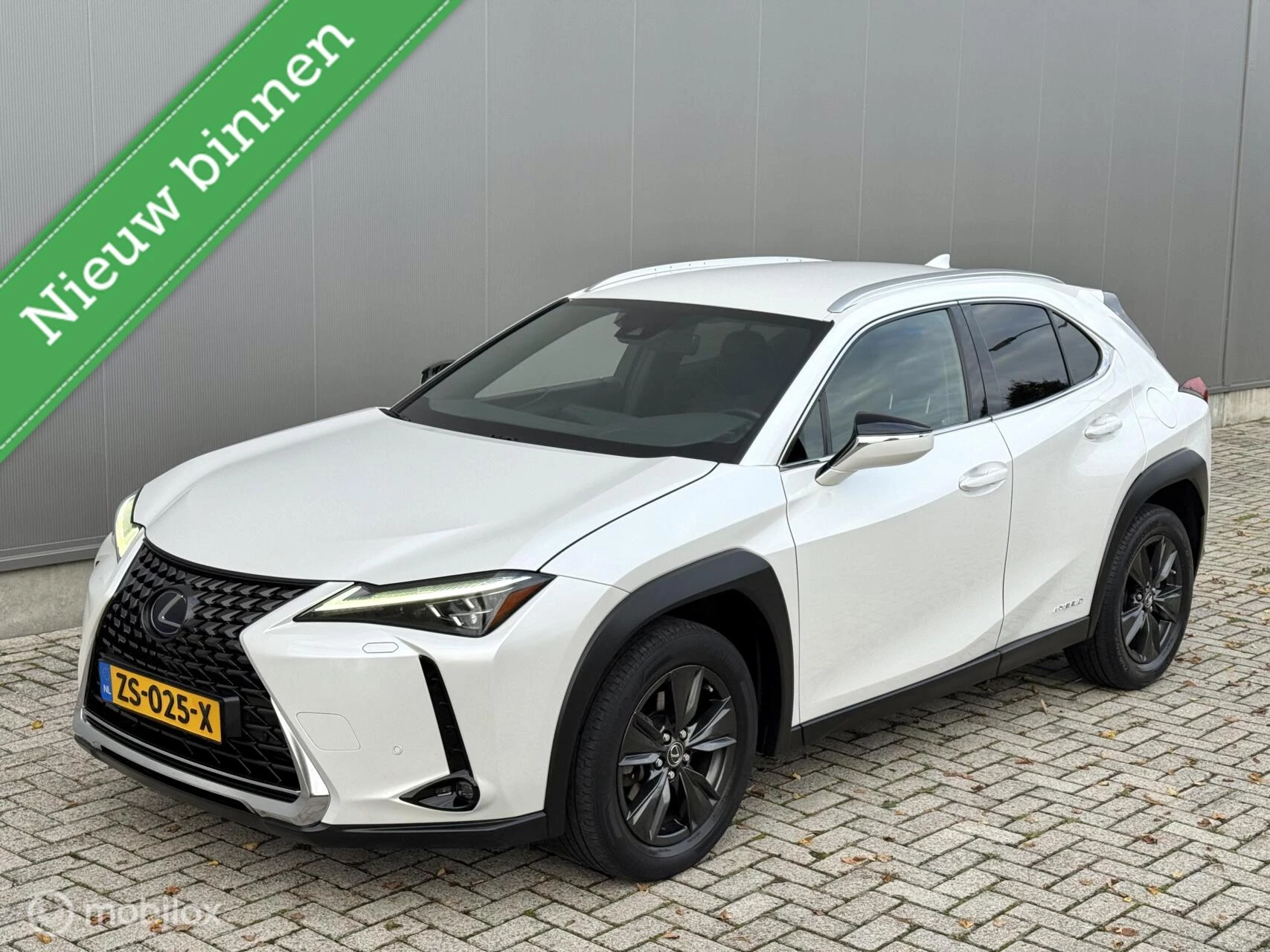 Hoofdafbeelding Lexus UX