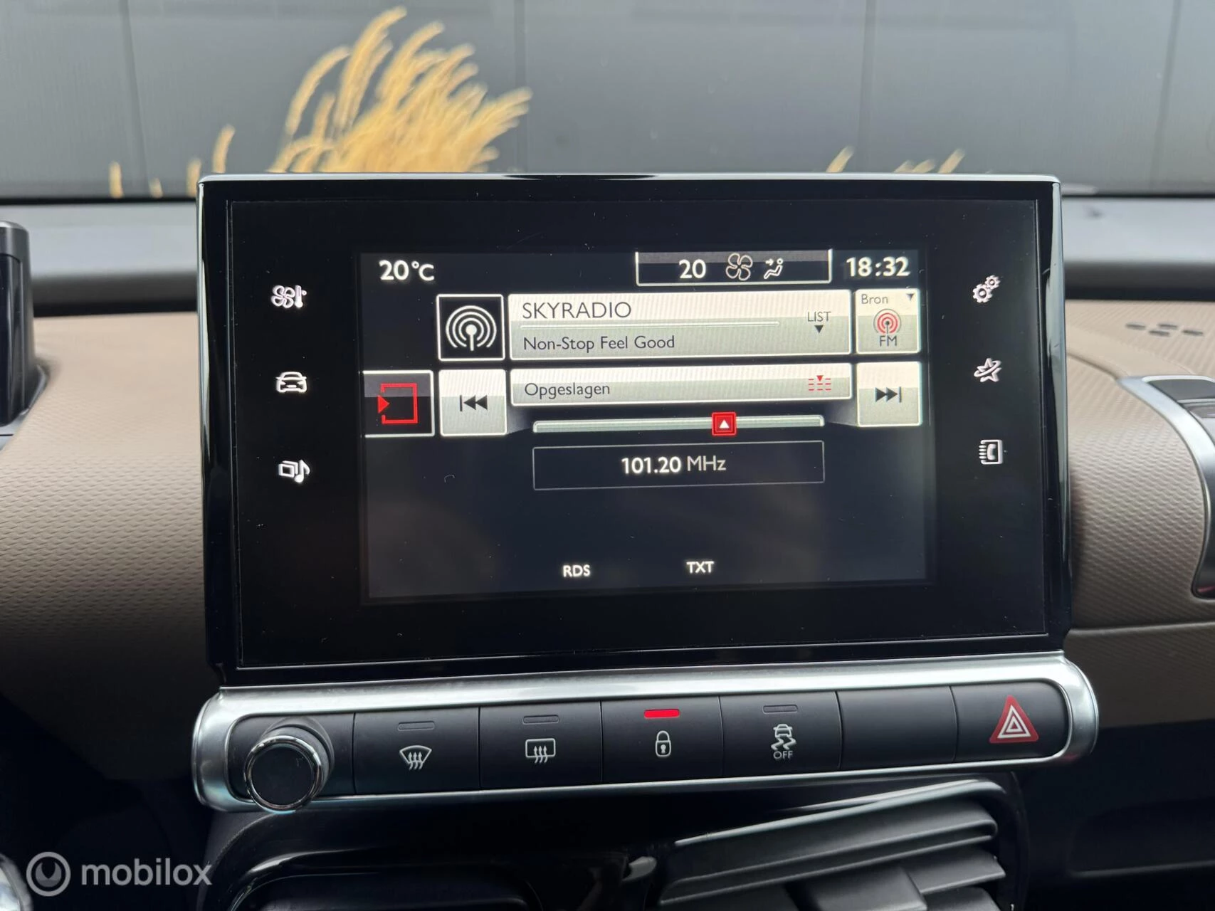 Hoofdafbeelding Citroën C4 Cactus