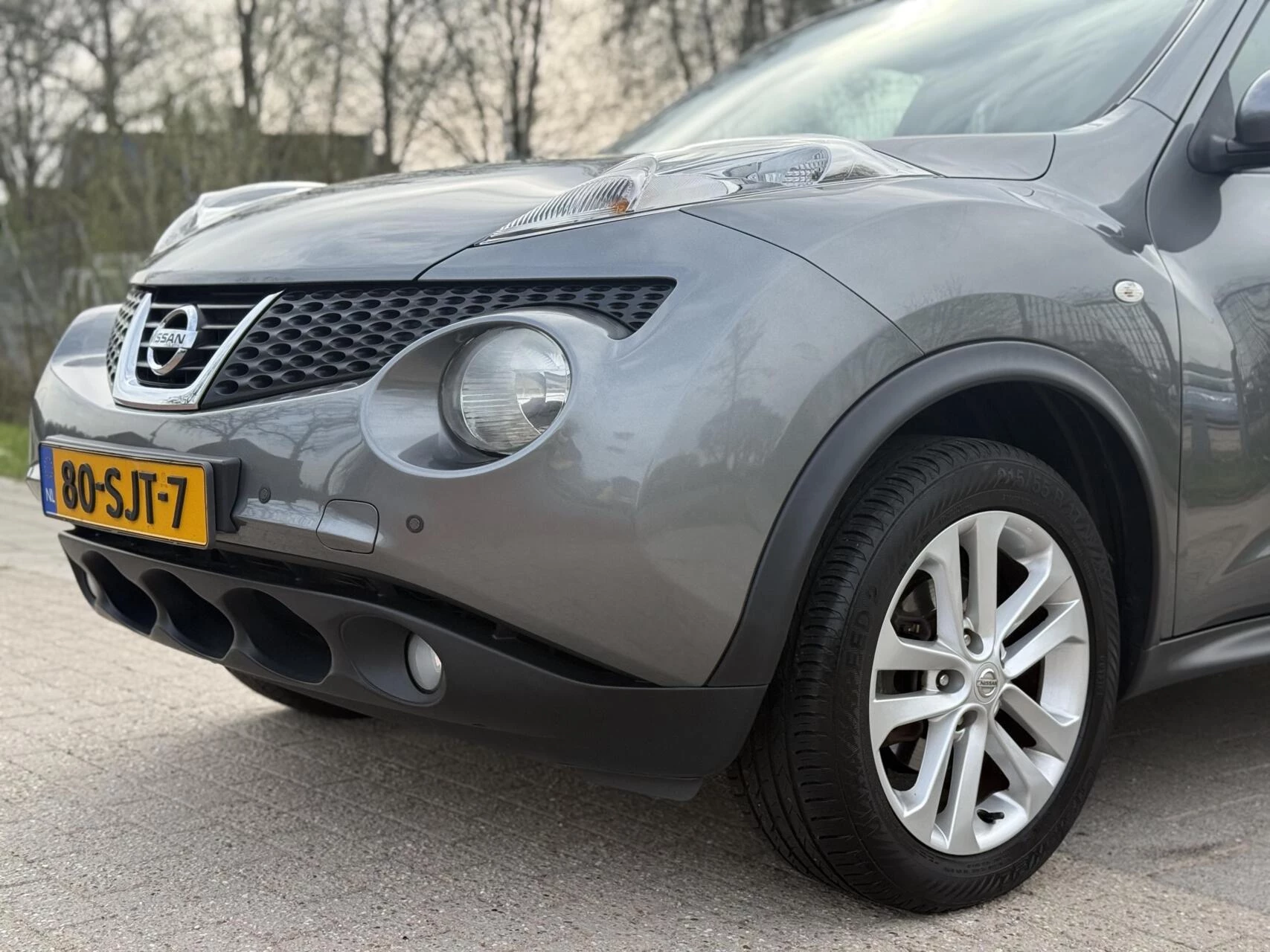 Hoofdafbeelding Nissan Juke