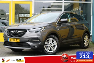Hoofdafbeelding Opel Grandland X Opel Grandland X 1.2 Turbo Business Executive