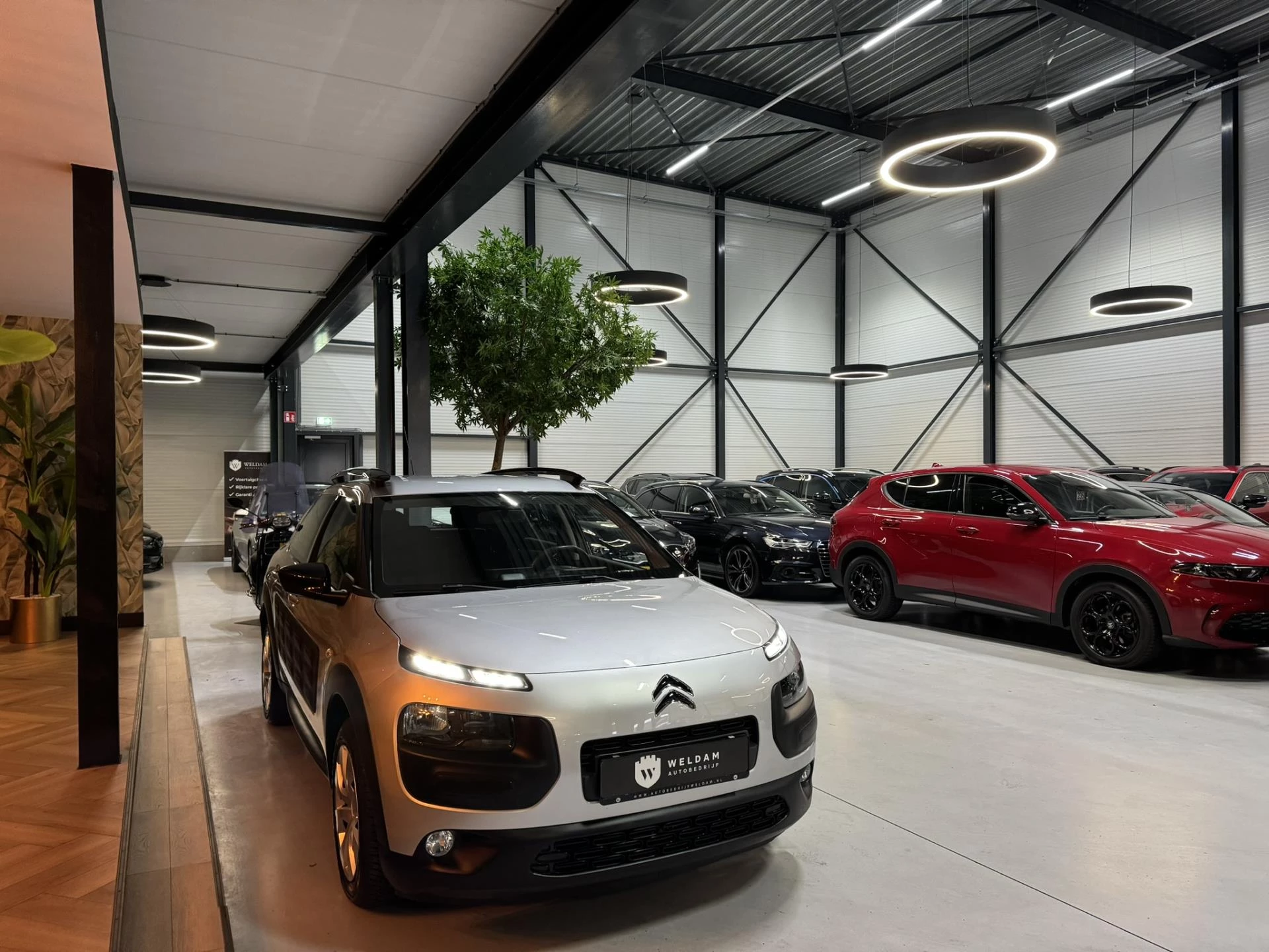 Hoofdafbeelding Citroën C4 Cactus